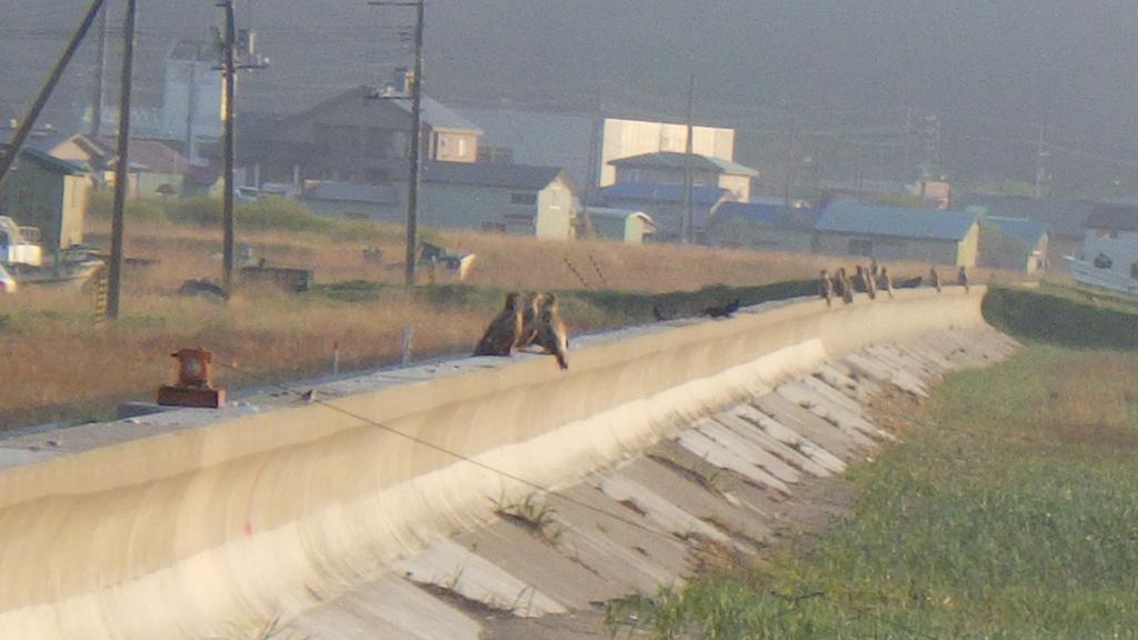 Kiritappuri Pension Hokkaido Buitenkant foto